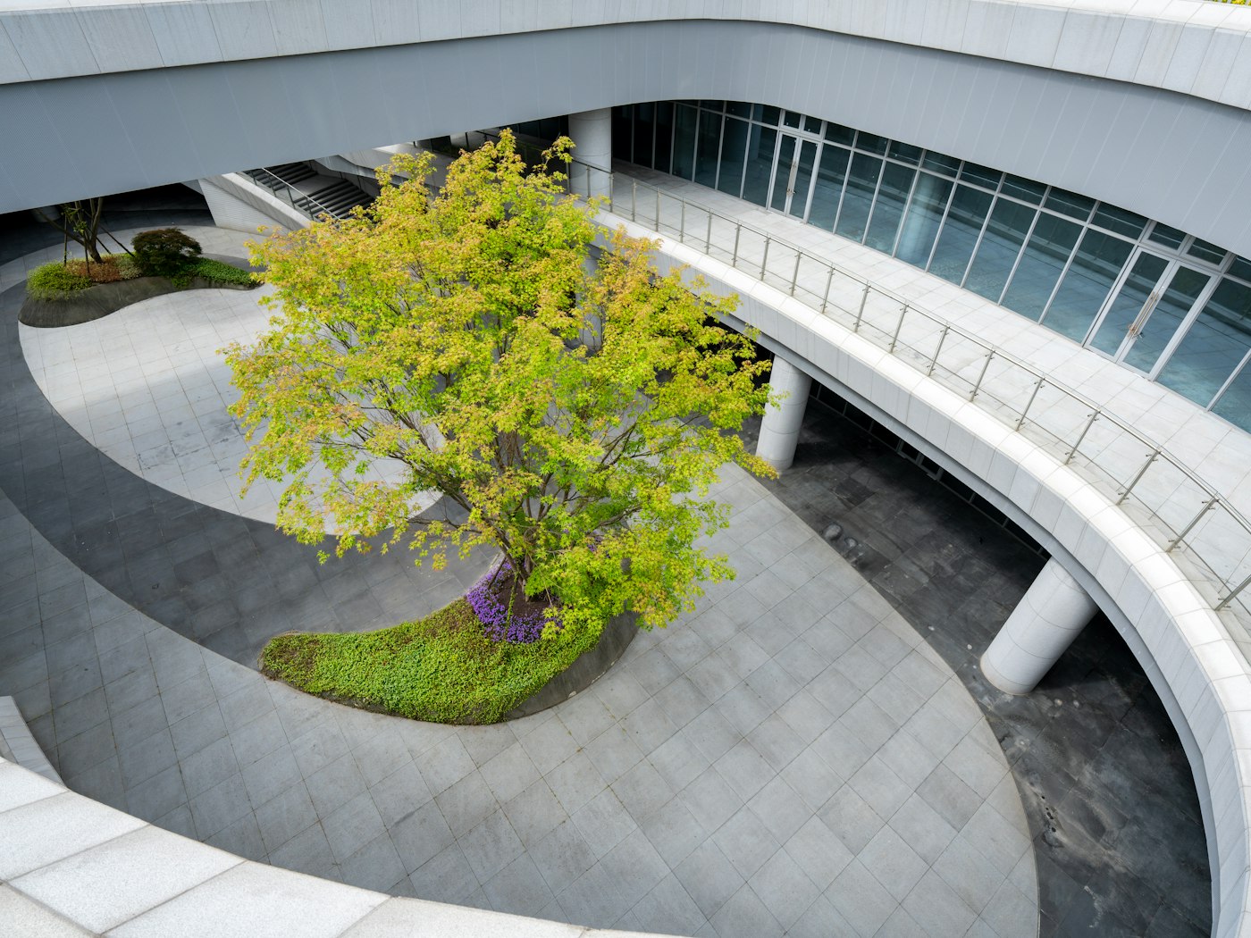 Patio corporativo ajardinado