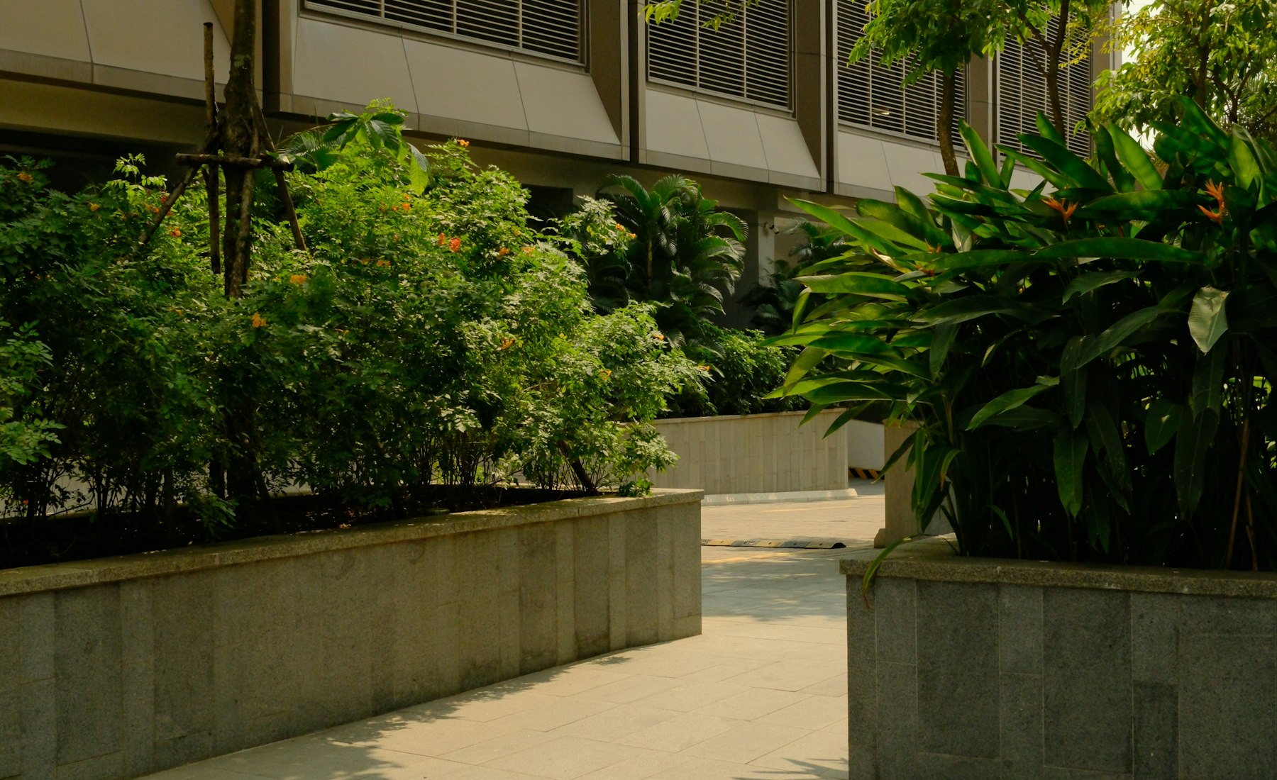 Paisaje corporativo con jardinería