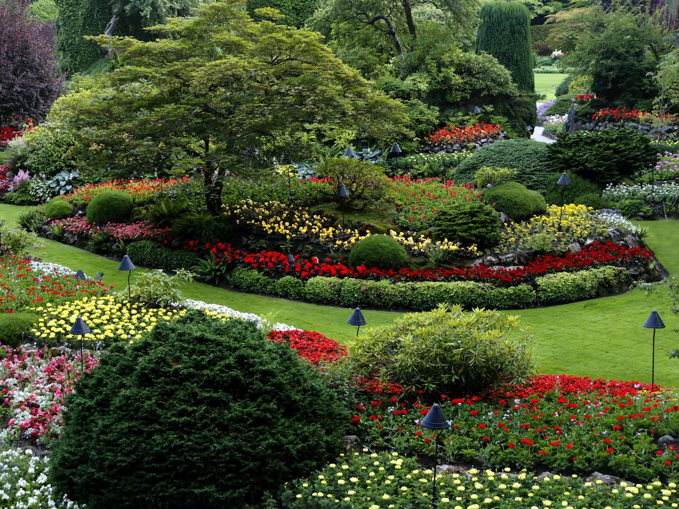 Jardín de plantas y flores
